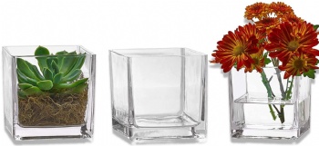 glass vase